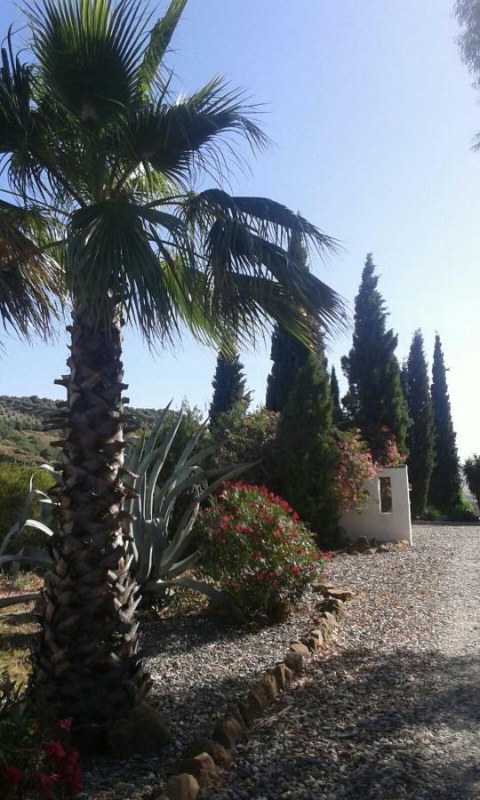 Casa Fuente De La Zorra Guest House Alora Exterior foto