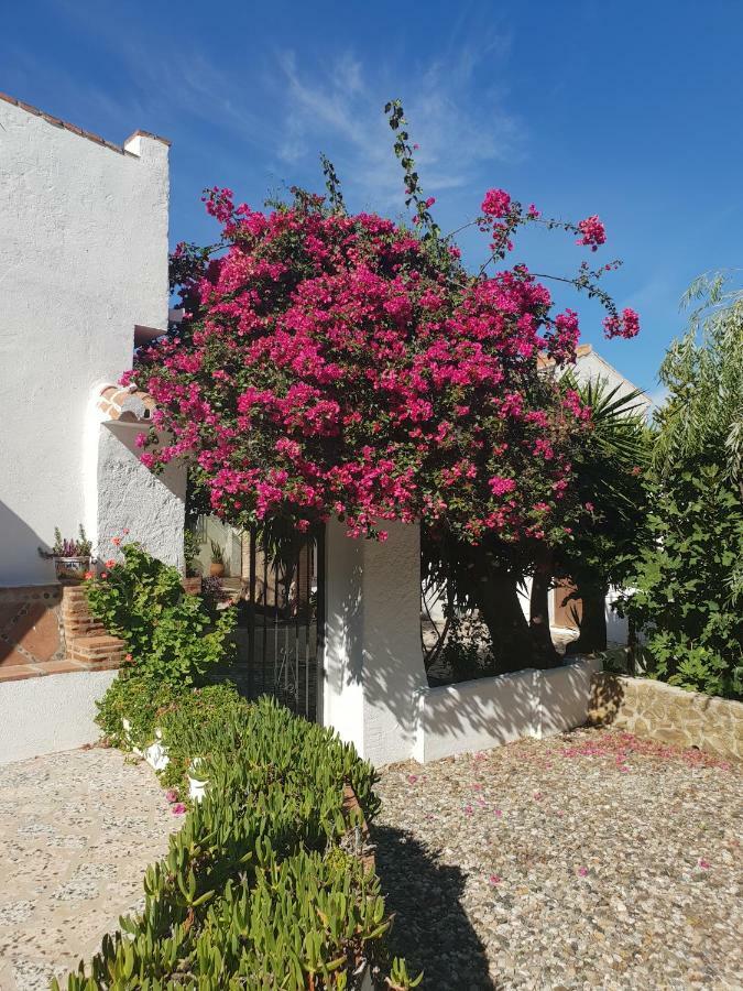 Casa Fuente De La Zorra Guest House Alora Exterior foto