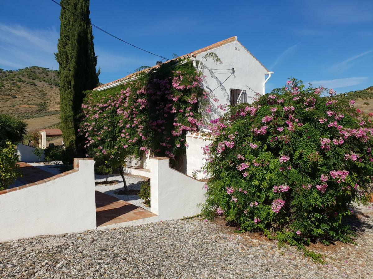 Casa Fuente De La Zorra Guest House Alora Exterior foto